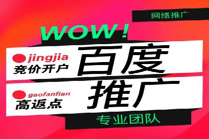 优化SEM竞价策略：成功案例剖析